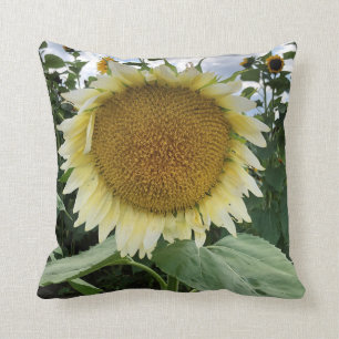 Weiße Sonnenblume Kissen