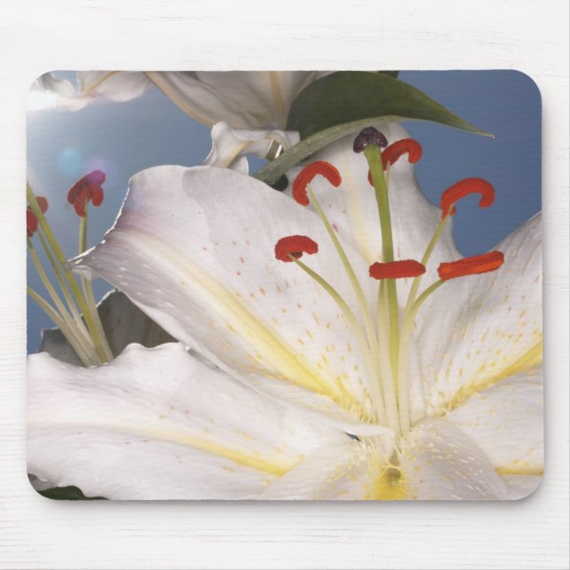 Weiße Stargazerlilien (Lilium orientalis), Mousepad (Vorne)