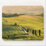 Weiße Straße im Toskana-Landschaftmousepad Mousepad<br><div class="desc">Mousepad mit einer Landschaft in Toskana mit der berühmten strada Bianca (weiße Straße/Schotterweg) Gladiator-Straße in Richtung zu Terrapille mit Zypressen entlang dem Weg am frühen Morgen nahe Pienza in Val d'Orcia Tal in Italien.</div>