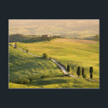 Weiße Straße Landschaft Toskana Postkarte<br><div class="desc">Postkarte einer Landschaft in der Toskana mit der berühmten Straße Bianca (weiße Straße/Straße) Gladiator Road Richtung Terrapille mit Zypressen entlang der Route am frühen Morgen nahe Pienza im Val d'Orcia Tal in Italien.</div>