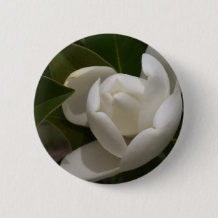 weiße südliche Magnolien-Blütenknospe Button