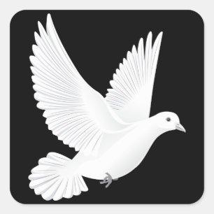 Weiße Taube Quadratischer Aufkleber