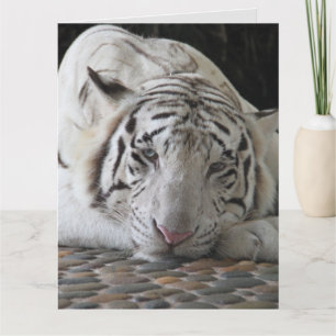 WEISSE TIGER NIEDLICHE GEBURTSTAG KARTEN BIG CARD