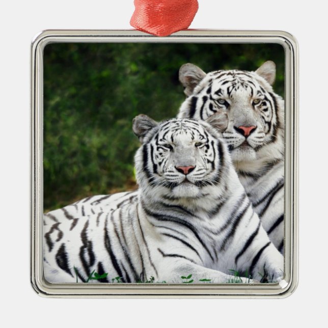 Weiße Tiger Ornament Aus Metall (Vorne)