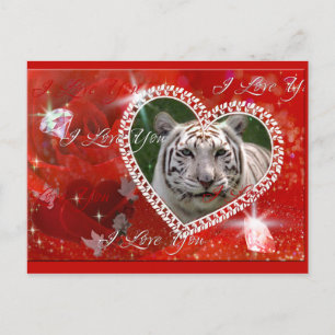 Weiße Tiger Postkarte