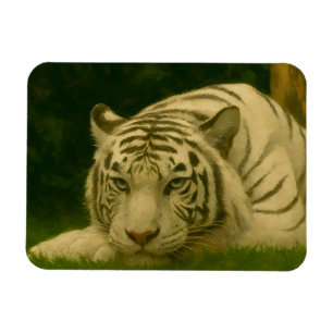 Weiße Tiger-Ruhen im Wald-Schatten Magnet
