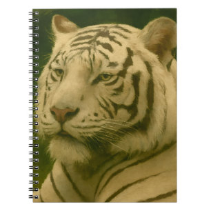 Weiße Tiger-Ruhen im Wald-Schatten Notizblock