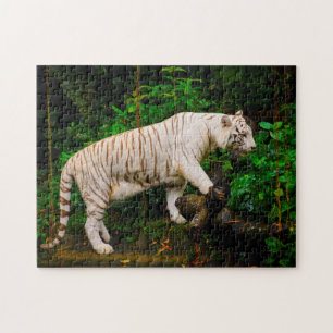 Weiße Tiger Singapur. Puzzle