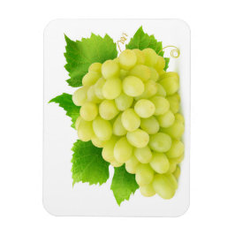 Weiße Trauben Magnet