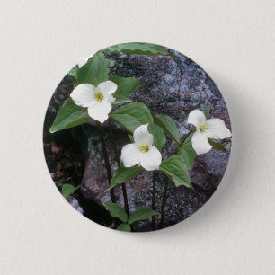 weiße Trillium-Blumen Button