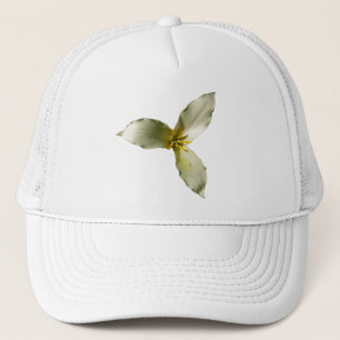 Weisse Trillium-Blüte Frühlingswildblume Truckerkappe