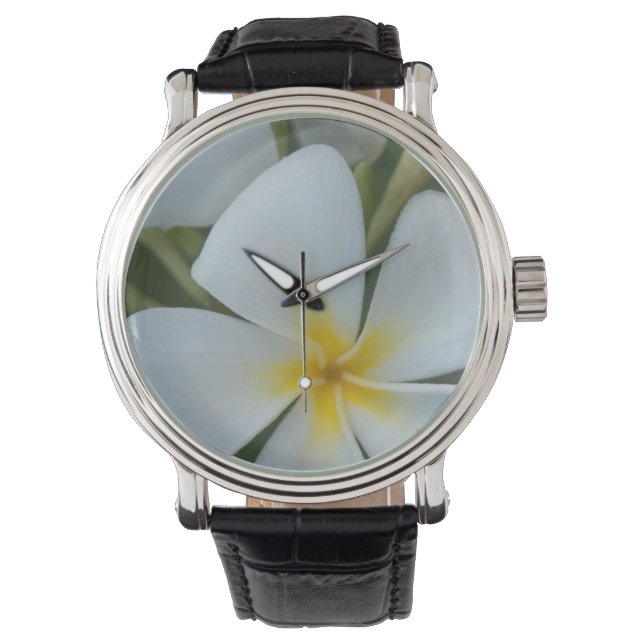 Weiße tropische Blume aus Fidschi Armbanduhr (Vorderseite)