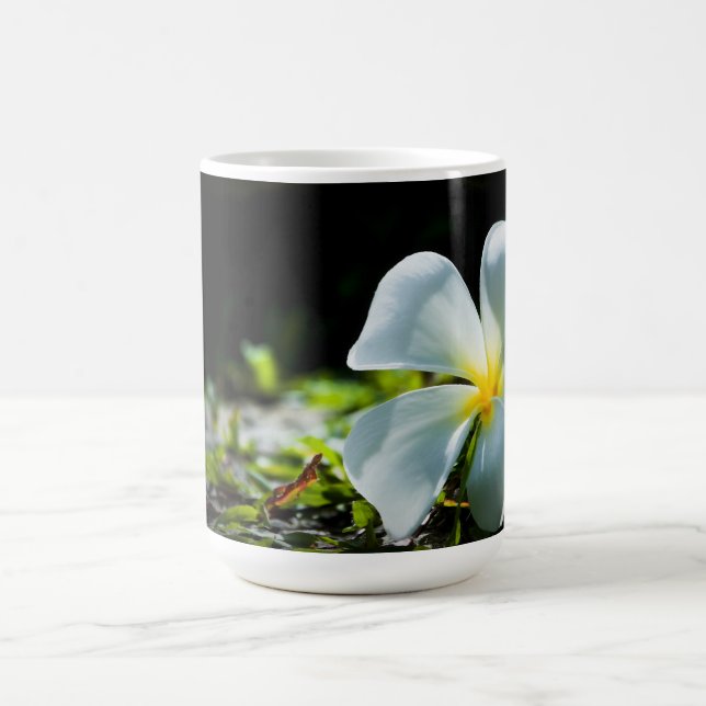 Weiße tropische Blume (Frangipani) nah Kaffeetasse (Mittel)