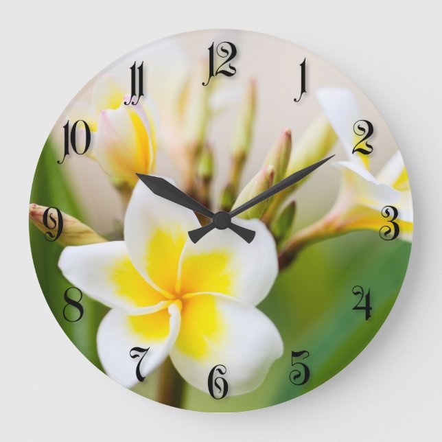 Weiße tropische Blume Große Wanduhr (Vorderseite)