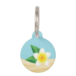 Weiße tropische Frangipani-Blume & Benutzerdefinie Haustiermarke