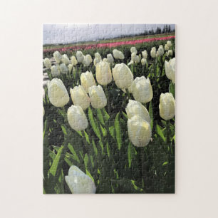Weiße Tulipen in einem Feld, Oregon Puzzle