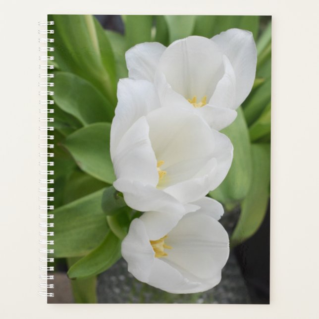 Weiße Tulpen-Blumen-Tagesplaner/Organizer Planer (Vorderseite)