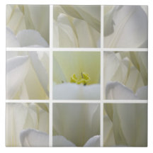 Weiße Tulpen im Quadratmuster