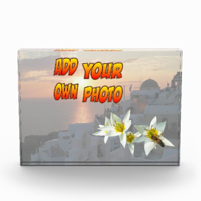 Weiße Tulpen mit Bienenblock Fotoblock (Vorderseite)