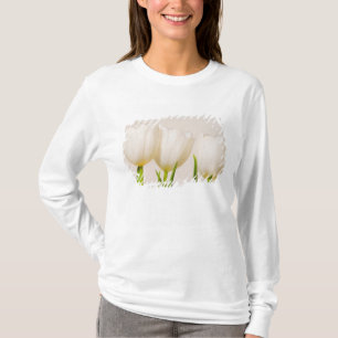 Weiße Tulpen vor weißem Hintergrund, T-Shirt