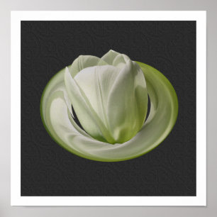 Weiße Tulpenblütenblätter Florale Kunst Poster