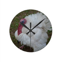 Weiße Türkei