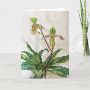 Weiße Umschläge der Orchideen (5" x 7") schließen Karte