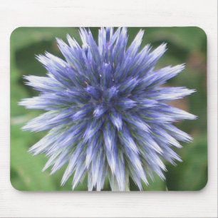 Weiße und blaue Kugel-Distel Mousepad