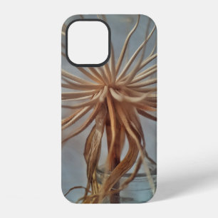 Weiße und braune abstrakte Malerei iPhone 12 Hülle