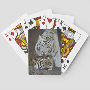 Weiße und braune Tiger Spielkarten