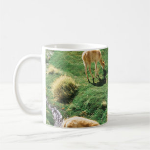WEISSE UND BROWPFERDE AUF DEM GRÜNEN GRASS FELD KAFFEETASSE