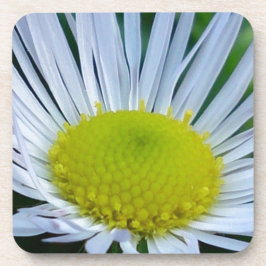 Weiße und gelbe Blume Getränkeuntersetzer