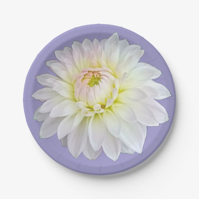 Weiße und gelbe Blume Pappteller (Vorderseite)