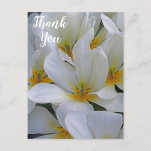 Weiße und gelbe Blumen Danke Postkarte
