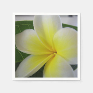 Weiße und gelbe Frangipani-Blume Serviette