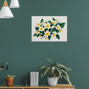 Weiße und gelbe Frangipani-Wasserfarben-Blume Poster