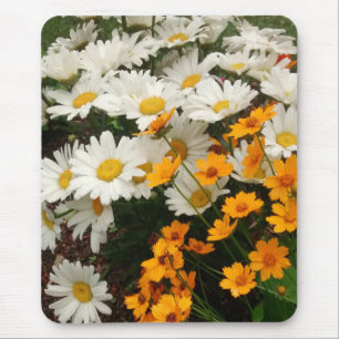 Weiße und gelbe Gänseblümchen Mousepad