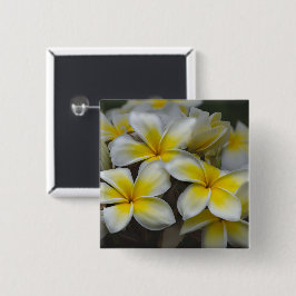 Weiße und gelbe Plumeria-Tropenblume Button