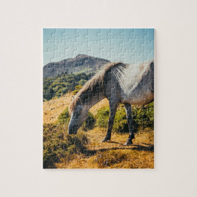 Weiße und graue Pferdeweiden mit Sonne abschimmern Puzzle (Vertikal)