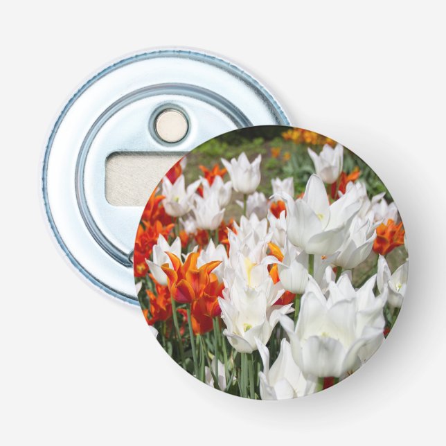 Weiße und Ingwer Tulpen im Garten Flaschenöffner (Vorderseite)