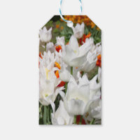 Weiße und Ingwer Tulpen im Garten