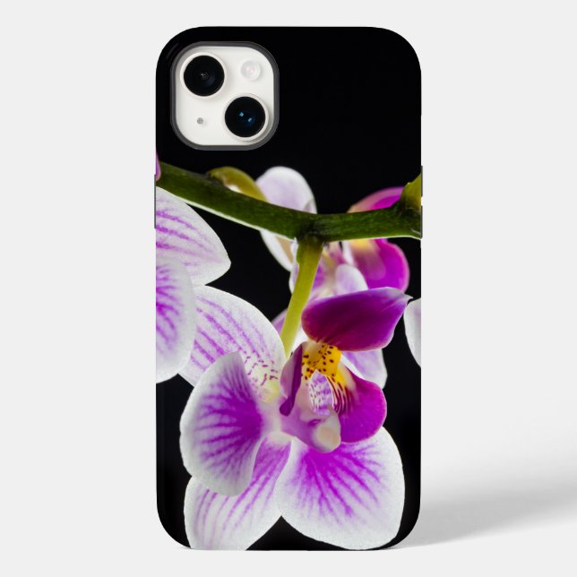 Weiße und lila Orchidee Case-Mate iPhone Hülle (Rückseite)
