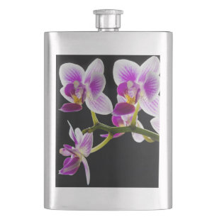 Weiße und lila Orchidee Flachmann