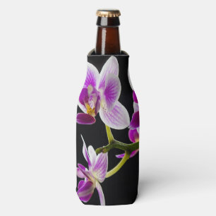 Weiße und lila Orchidee Flaschenkühler