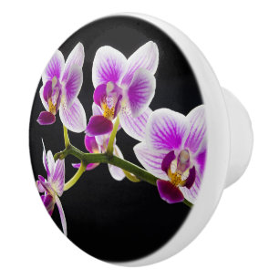 Weiße und lila Orchidee Keramikknauf