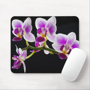 Weiße und lila Orchidee Mousepad