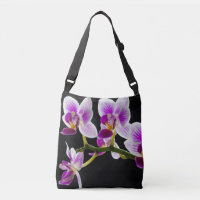 Weiße und lila Orchidee