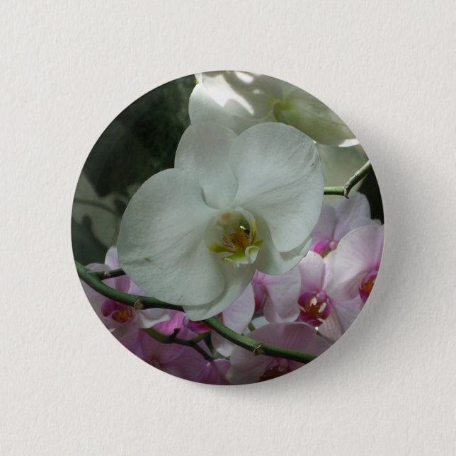 Weiße und Lila Orchideen Button (Vorderseite)