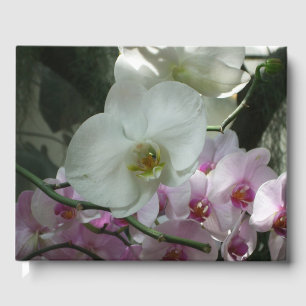 Weiße und Lila Orchideen Gästebuch