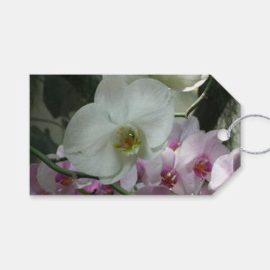 Weiße und Lila Orchideen Geschenkanhänger